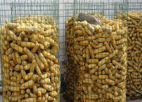 Circle Corn Welded Wire Mesh圖片4